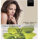 1383240990-kit-equilibrium